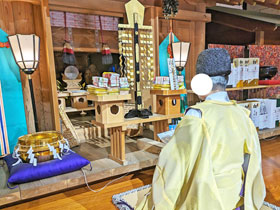 �_�E���񂪃L���̂��邠�肪����������q�ׂĎГa�̒��ɋ����n��܂�