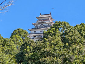 ���ԏꂩ�猩�����Ï�