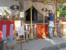 鷲子山上神社の本宮でドリームジャンボ宝くじ高額当選のお願い