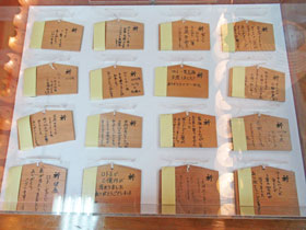 ���z���I�̕񍐂��������G�n�̐��X