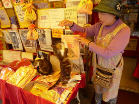 野崎酒店のお母さんが猫のお願いポーズをしています