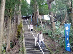 100�i�߂��Q���̋}�ȊK�i