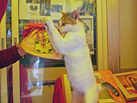 �L�̍K����񂪂��肢�|�[�Y�����Ă��܂�